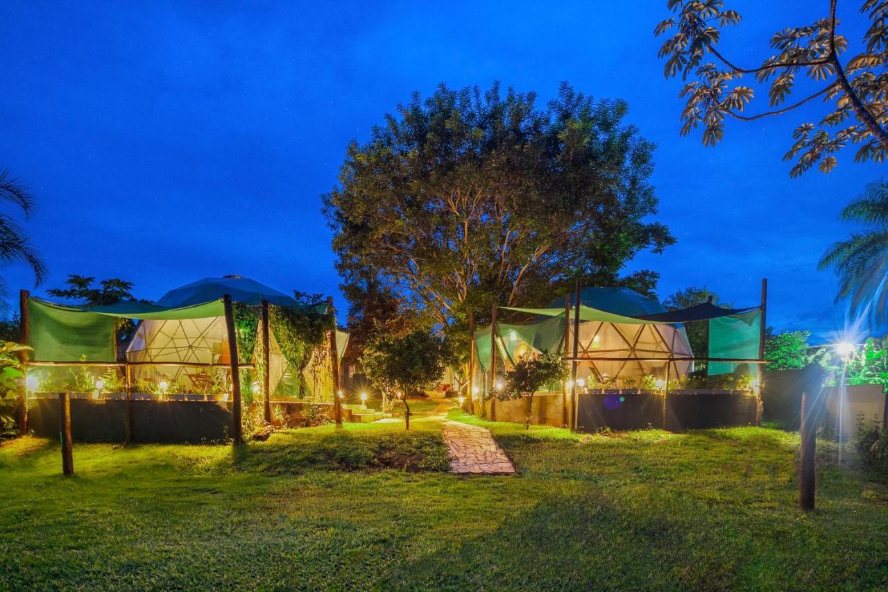 Glamping Serra Da Canastra - Casinha De Hortela - Domo Embauba เดลฟีโนโปลิส ภายนอก รูปภาพ
